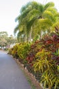 Colorful Foliage Lining A Pathway In A Carvan Park