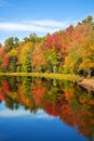 Autumn foliage tree reflections in pond Royalty Free Stock Photo