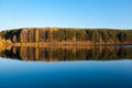 Colorful foliage tree reflections in calm pond water on autumn day. Royalty Free Stock Photo