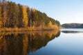 Colorful foliage tree reflections in calm pond water on autumn day. Royalty Free Stock Photo