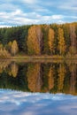 Colorful foliage tree reflections in calm pond water on autumn day. Royalty Free Stock Photo