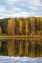 Colorful foliage tree reflections in calm pond water on autumn day. Royalty Free Stock Photo