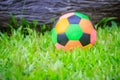 Colorful football on playground with green grass in the backyard for children. Multicolor soccer ball on green grass playground.