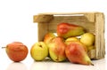 Colorful Forelle pears in a wooden crate