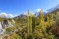 Autumn season in Hunza, Pakistan Royalty Free Stock Photo