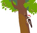 Woodpecker sitting on tree making holes.