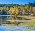 Fall Scene with Autumn Trees Reflection in Lake Royalty Free Stock Photo