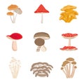 Mushrooms vector collection Royalty Free Stock Photo