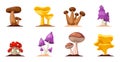 Colorful forest wild collection of assorted edible mushrooms and toadstools with names in cartoon style isolated vector Royalty Free Stock Photo