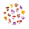 Colorful forest wild collection of assorted edible mushrooms and toadstools with names in cartoon style isolated vector Royalty Free Stock Photo