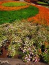 Colorful formal garden.