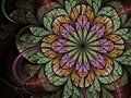 Colorful fractal flower