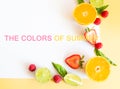 Colorful frame border or edge of fresh summer fruits with copy Royalty Free Stock Photo