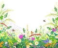 Colorful Frame with Summer Meadow Plants, Spider on Web and Insects Royalty Free Stock Photo