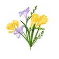 Colorful freesia composition. Fabric wallpaper print texture on white background.