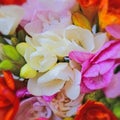 Colorful freesia flowers top view, natural background Royalty Free Stock Photo