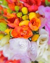 Colorful freesia flowers top view, natural background Royalty Free Stock Photo