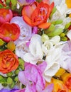 Colorful freesia flowers top view, natural background Royalty Free Stock Photo