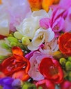 Colorful freesia flowers top view, natural background Royalty Free Stock Photo