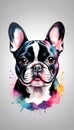 Colorful French Bulldog illustration on watercolor splash isolated on white background