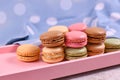 Colorful French macaron sweets on pink tray