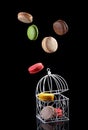 Colorful French macaroon biscuits in motion