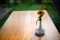 Colorful fresh flower in the tall white vase on the wood table