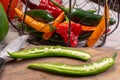 Colorful fresh hot Mexican chili peppers in assortment Royalty Free Stock Photo