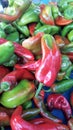 Colorful fresh peppers background Royalty Free Stock Photo