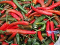 colorful fresh peppers Royalty Free Stock Photo