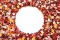 Colorful fresh rose petals in the shape of a circle on white background with space for text. Royalty Free Stock Photo