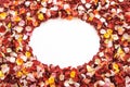 Colorful fresh rose petals in the shape of a circle on white background with space for text. Royalty Free Stock Photo