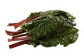 Colorful Fresh Swiss Chard