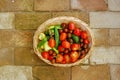 Colorful fresh tomatoes and peppers Royalty Free Stock Photo