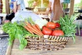 Colorful fresh vegetables and fruits in wicker basket, tomatoes, carrots and green vegetables. Organic healthy food for vitamins