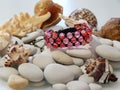 Colorful friendship bracelet and sea stones