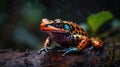 Colorful frog perched on a tree at the edge of water showing reflection in the water with blur background, generative ai Royalty Free Stock Photo