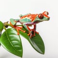 A colorful frog sitting on top of a green leaf with white background, AI Royalty Free Stock Photo