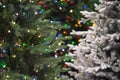 Colorful frosted white and evergreen artificial Christmas tree on display, warm LED micro fairy lights stunning illumination, tips