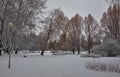 Colorful Frozen winter forest and shrubs with snow covered trees.