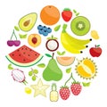 Colorful Fruit Circle illustration