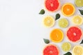 Colorful fruit side border of citrus slices and leaves, top view over a white background Royalty Free Stock Photo