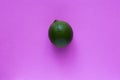 Colorful fruit pattern of fresh lime on pink background. Royalty Free Stock Photo