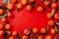 Colorful fruit pattern of tangerine or clementine on red background. Chinese New Year, Tet holiday