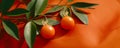 Colorful fruit pattern of tangerine or clementine on red background. Chinese New Year, Tet holiday