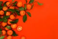 Colorful fruit pattern of tangerine or clementine on red background. Chinese New Year, Tet holiday