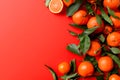 Colorful fruit pattern of tangerine or clementine on red background. Chinese New Year, Tet holiday