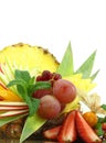 Colorful fruit salad Royalty Free Stock Photo