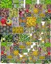 Colorful Fruits boxes Royalty Free Stock Photo