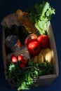 Colorful fruits and vegetables in a wooden box on a dark background. A set of products for healthy eating. Concept of eco food, Royalty Free Stock Photo